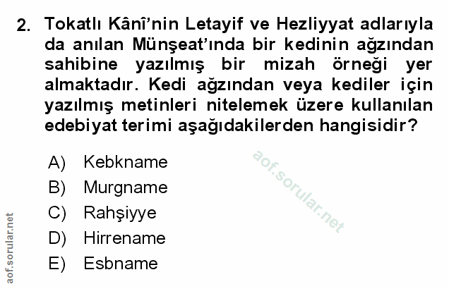 Soru 2