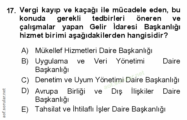 Soru 17
