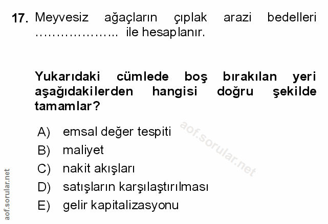 Soru 17