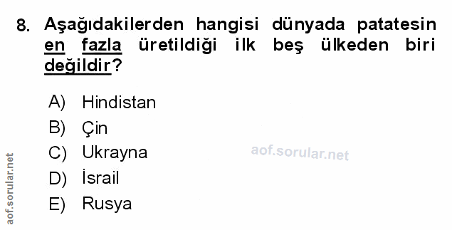 Soru 8