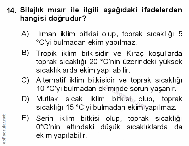 Soru 14