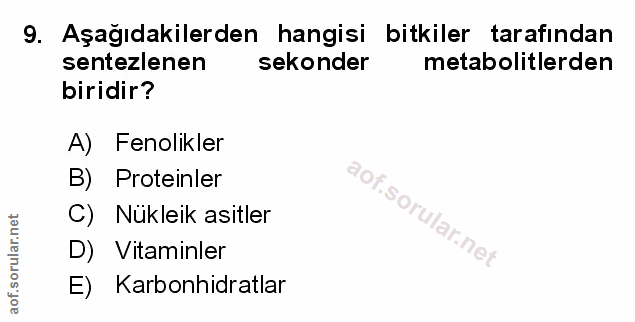Soru 9