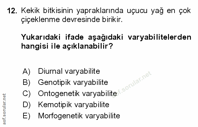 Soru 12