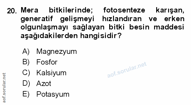 Soru 20