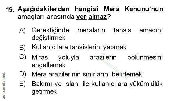Soru 19