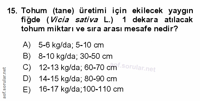 Soru 15