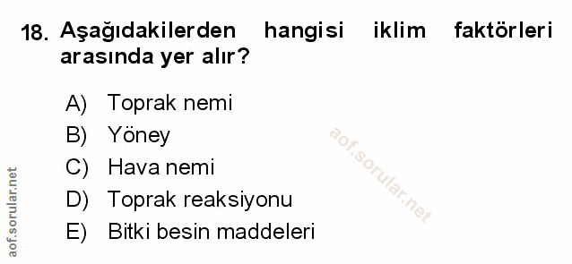 Soru 18