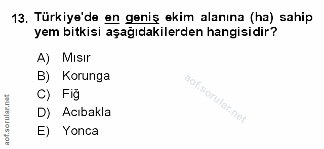 Soru 13