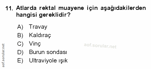 Soru 11