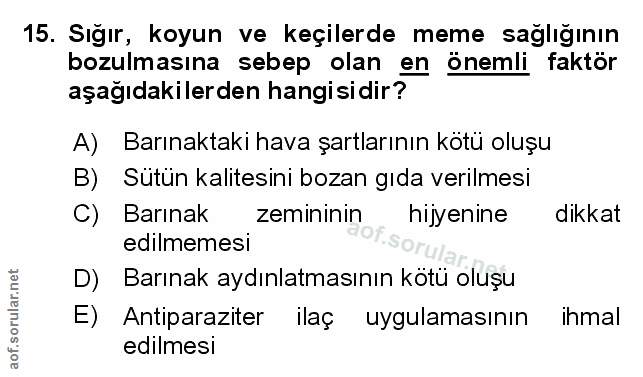 Soru 15