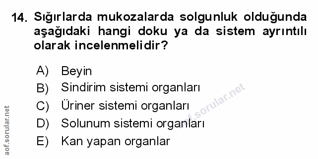 Soru 14