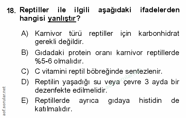 Soru 18