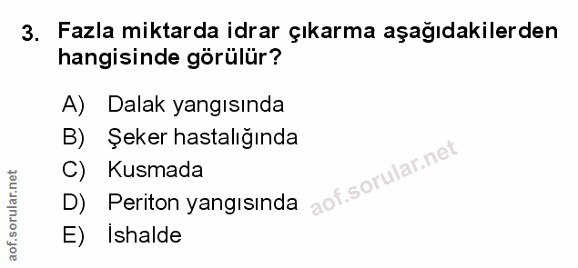 Soru 3