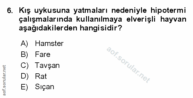 Soru 6