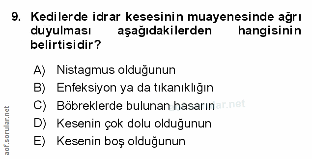 Soru 9