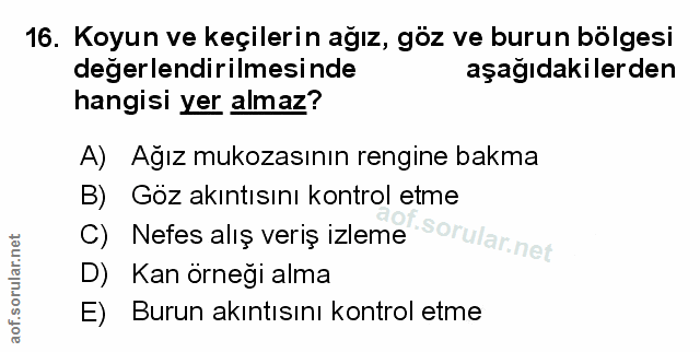 Soru 16