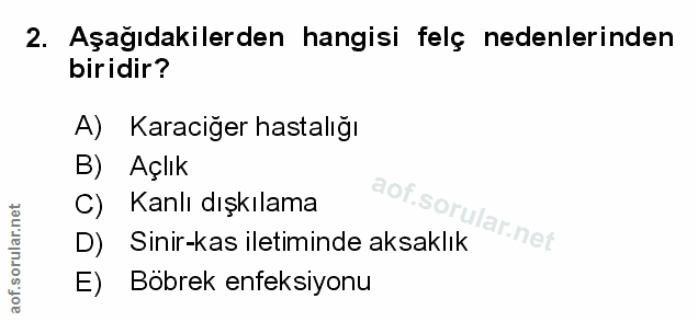 Soru 2