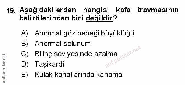 Soru 19