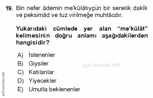 Soru 19