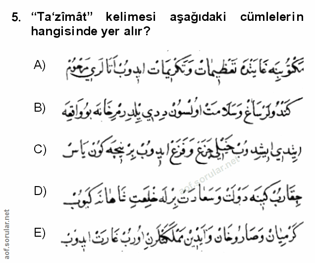 Soru 5