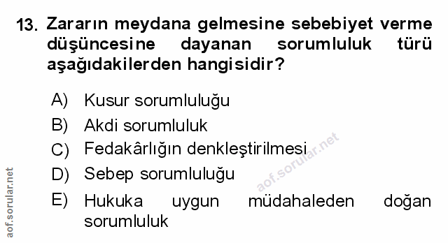 Soru 13