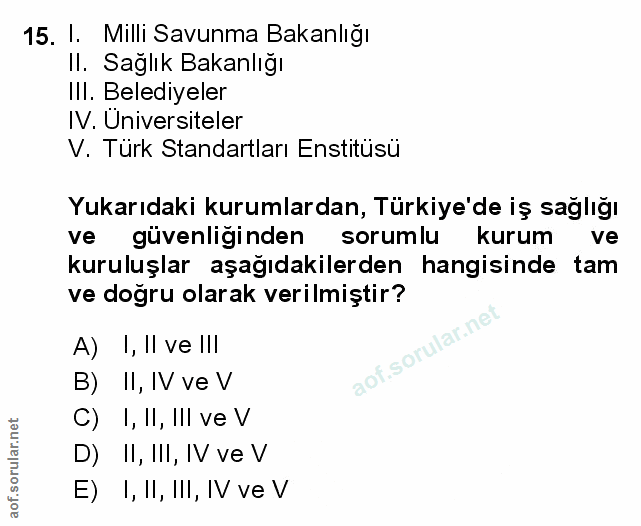 Soru 15