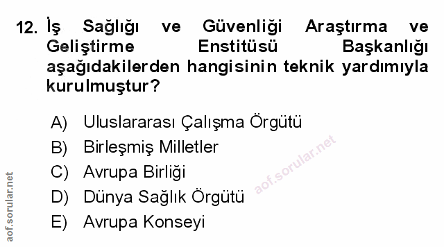 Soru 12