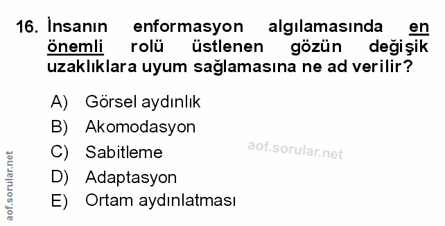 Soru 16