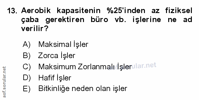 Soru 13