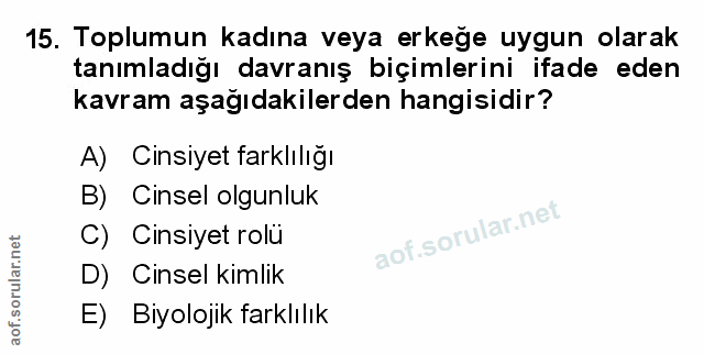 Soru 15