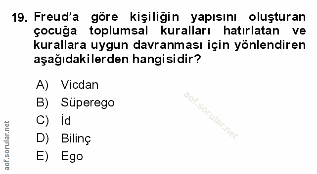 Soru 19