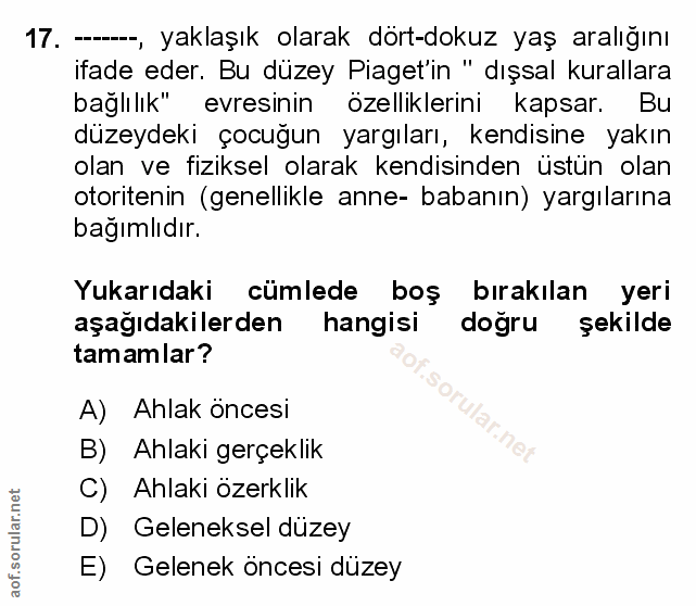 Soru 17