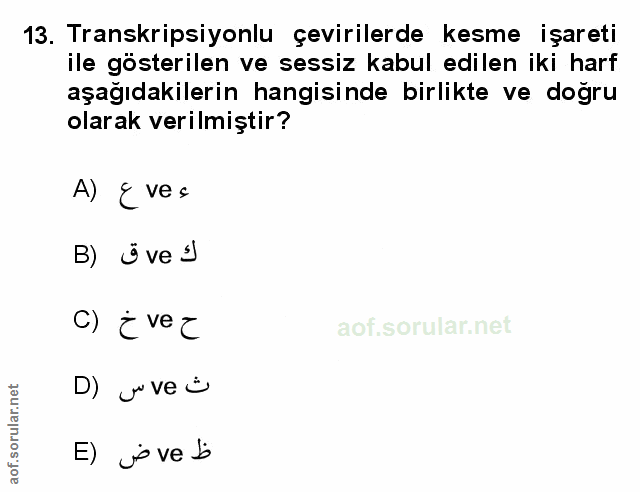 Soru 13