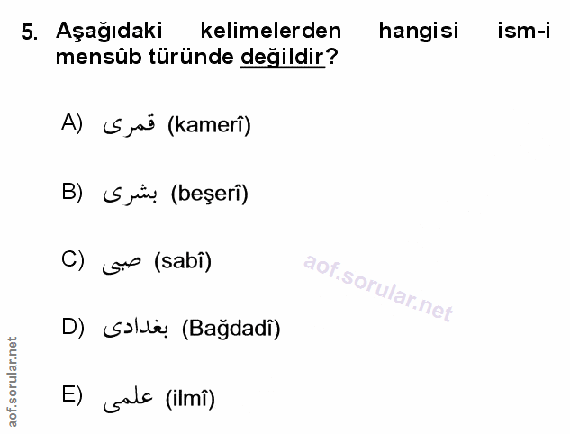 Soru 5