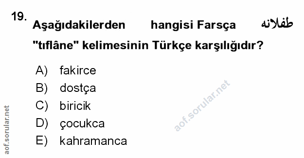 Soru 19