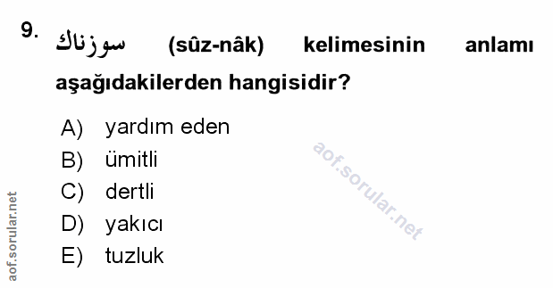 Soru 9