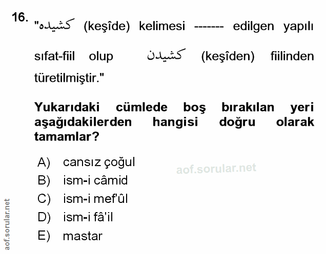 Soru 16