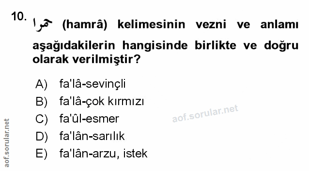 Soru 10
