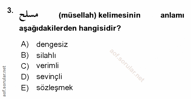 Soru 3