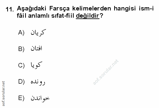 Soru 11