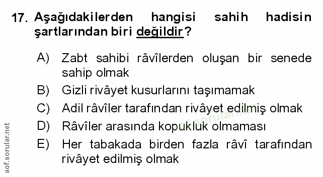 Soru 17