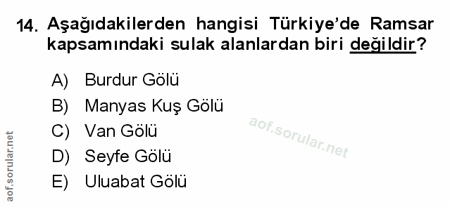 Soru 14