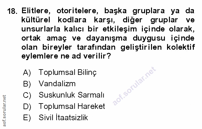 Soru 18