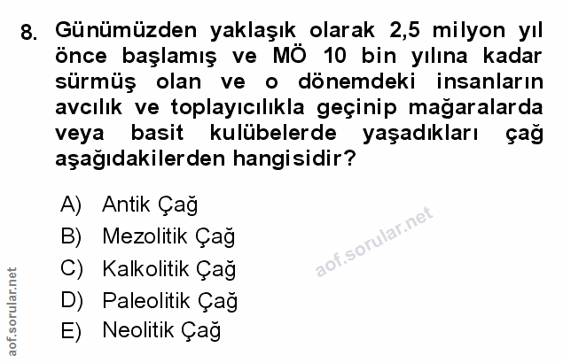 Soru 8