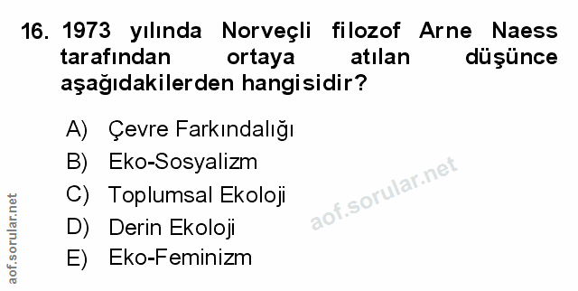 Soru 16