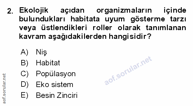 Soru 2