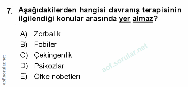 Soru 7