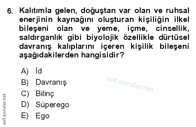 Soru 6