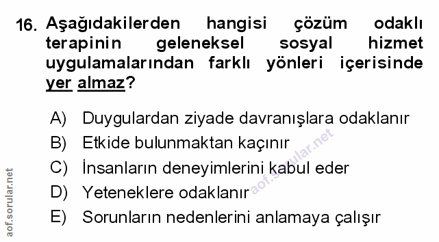 Soru 16
