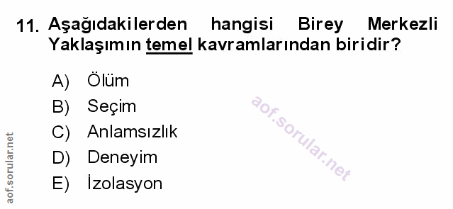 Soru 11